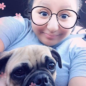 Meet your Posher, Polla